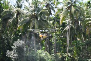 Drone ile zirai ilaçlama: Türkiye ve AB'de kurallar, sahada doğru ayarlar