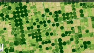 Sentinel-2 ve NDVI ile bitki stresi takibi: ücretsiz uydu verisiyle tarlayı izlemek